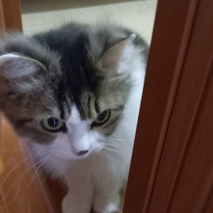 83be1650 0868 4a6e 85bc f4e8a8e6e5b3 1646432194715