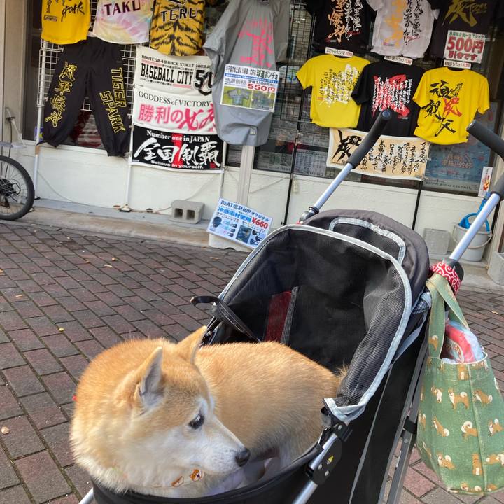 83be7215 37e7 4c01 936e 7336bfe8c370 1636721761712