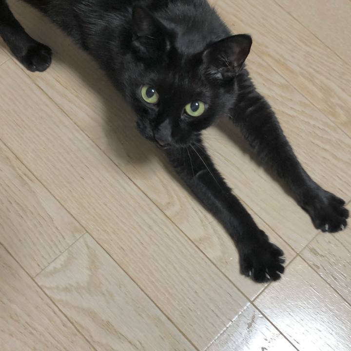 83be9234 126c 4d8b adac 35ecf0e66828 1624883045255