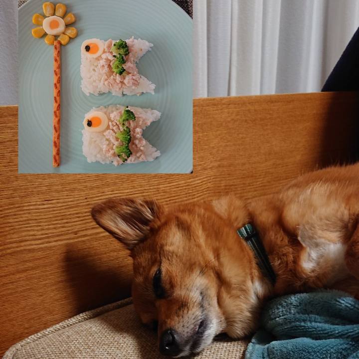 83becff3 b24c 4272 a1ec bf19c06fd90d 1556866987656