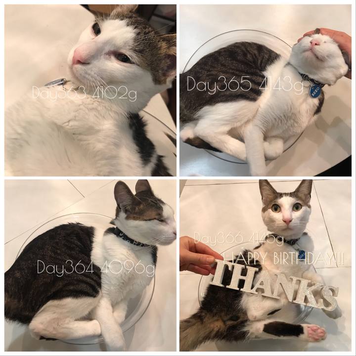 83bed489 1436 4d06 a226 1ba7b3e5898b 1523799675232