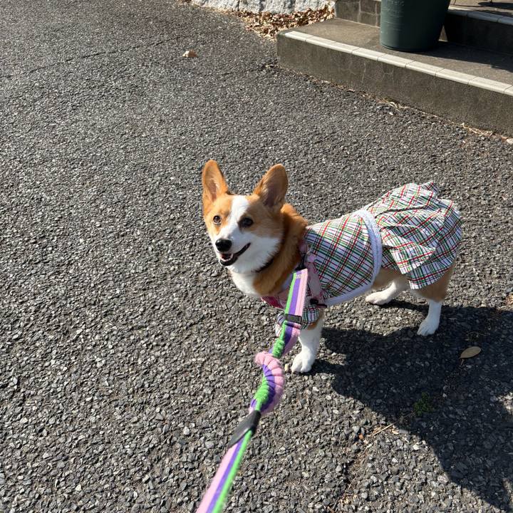 83bee4c6 a9f1 4642 b78f e80f5ed04079 1772358446015