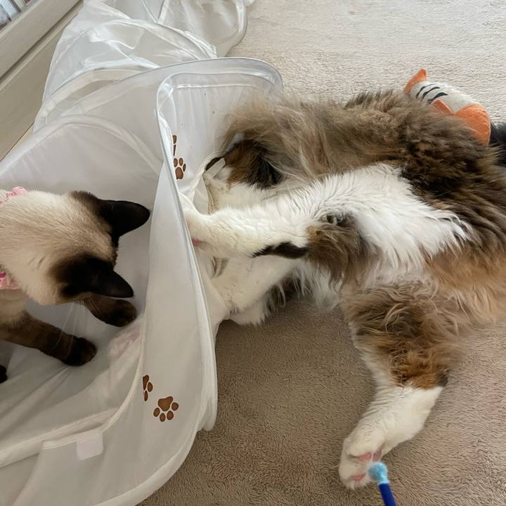 83beead1 432e 484e 97ee 2556c7672a77 1712875760767