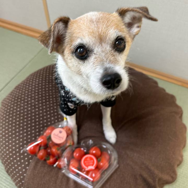 83bf00de ff80 4436 84d9 7f8b60f256ed 1670654104125