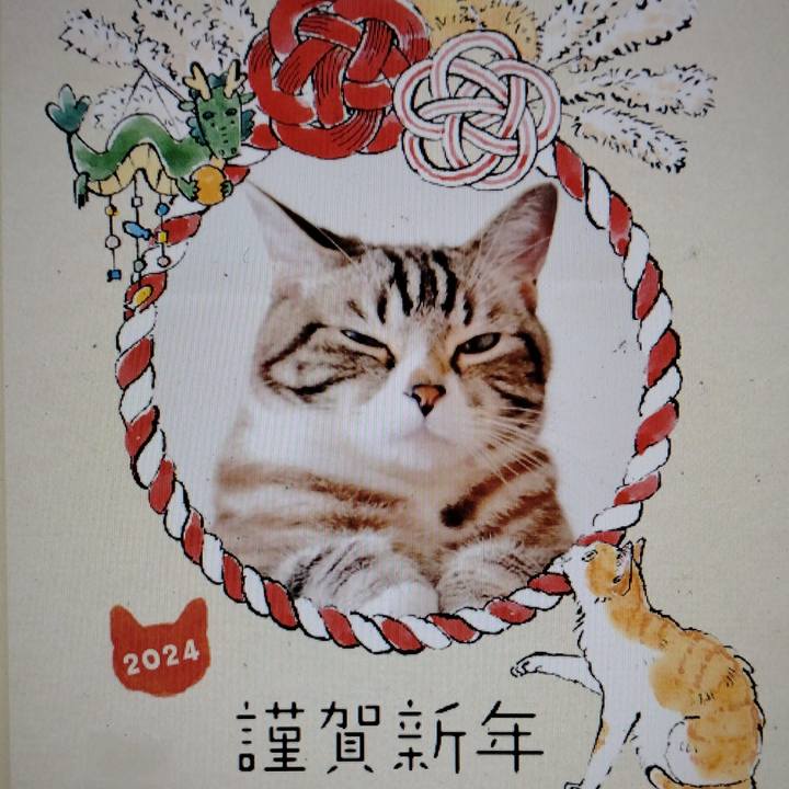 83bf0bf9 5070 4a3a bff1 1d2c00d75c51 1704055361754