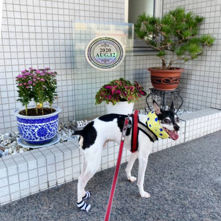 83bf52c4 214b 4455 8902 3334f422b3eb 1597192997934