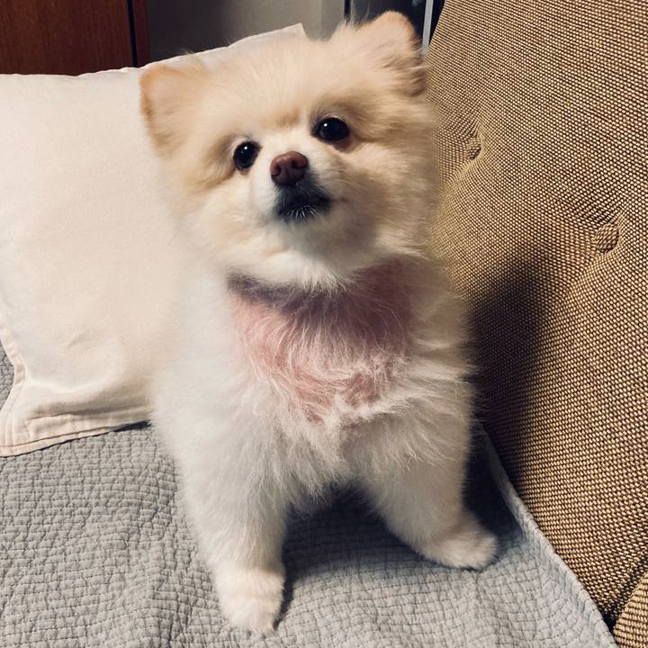 83bfa413 2e7e 4e3c ba20 4d1a55399d78 1696854091108