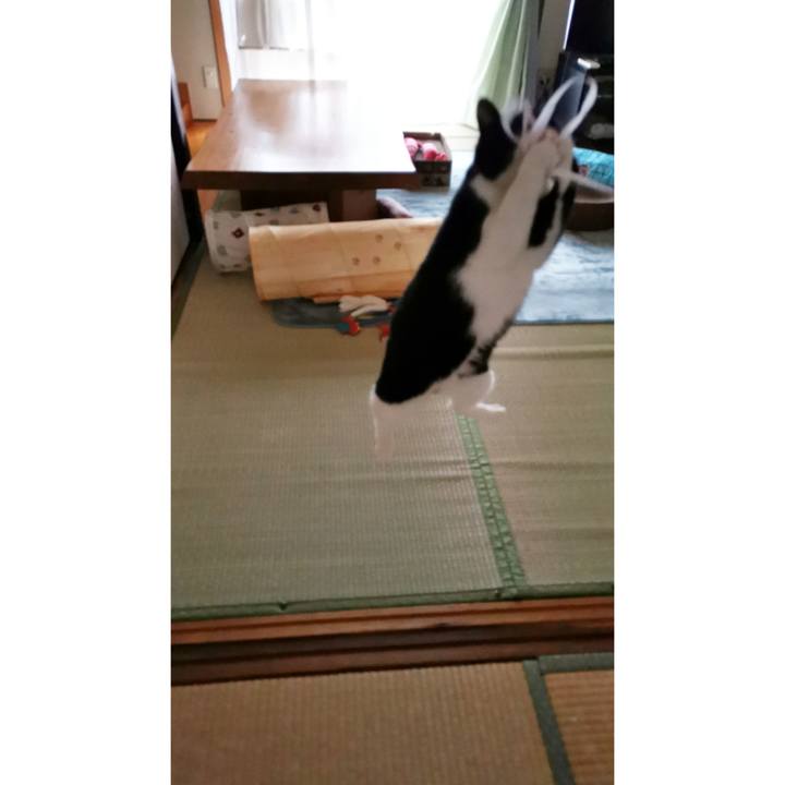 83bfa858 076d 4300 9a63 5f725bcd83ef 1674357804166