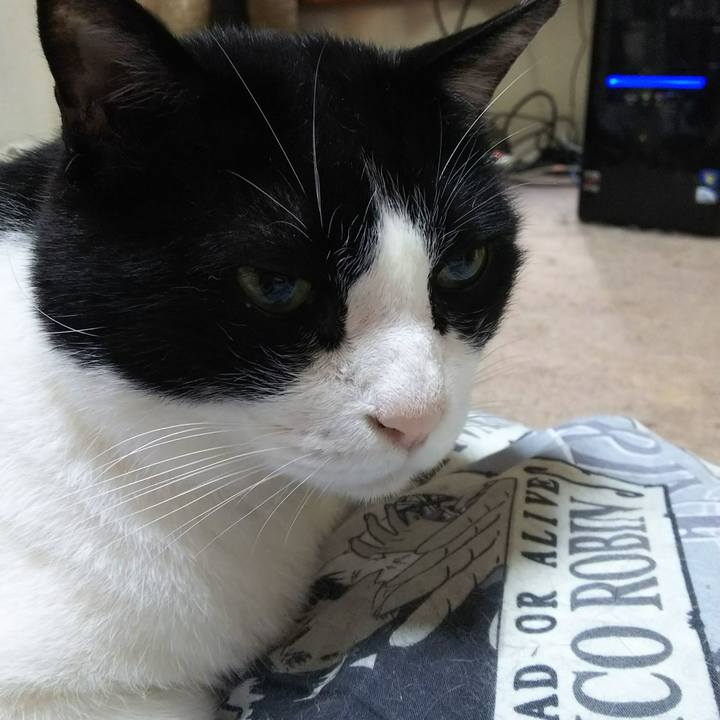 83bfff0d 1992 43a7 a874 a3dbca37ddf5 1530222013542