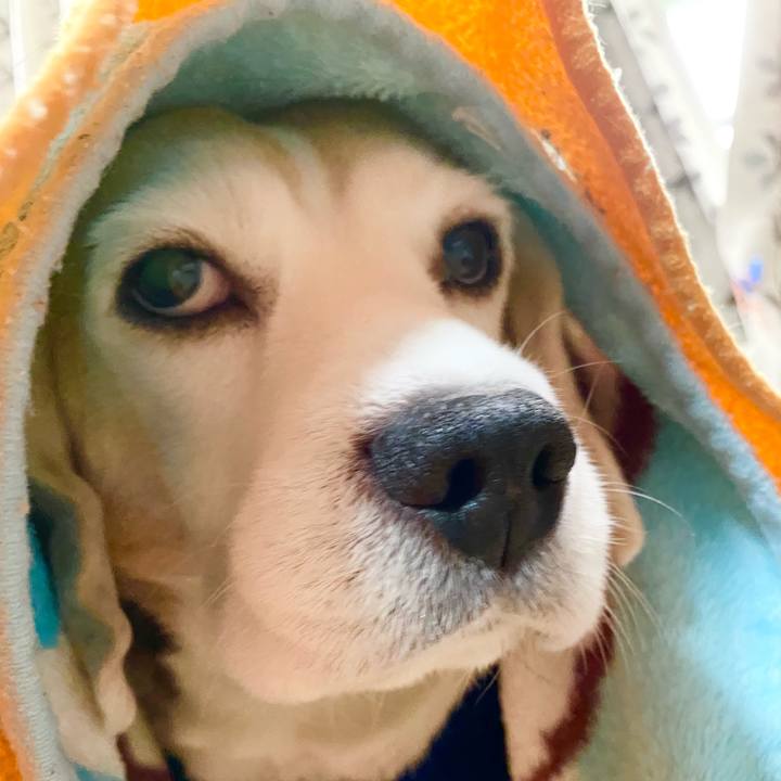 83c02ffe eed4 4fe5 ab23 8145f0412533 1610336026208