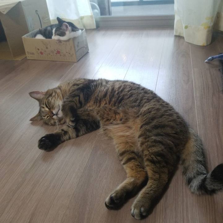 83c03aa6 fd4f 4a03 81ee 115e58669a2b 1587673554682