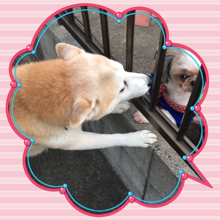 83c05f51 1455 4bad 862a 9cf04644e388 1513119146154