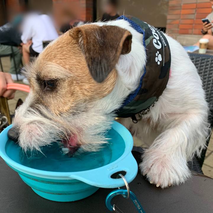 83c06be3 74dd 4eb2 a3e8 b594c470dd9a 1598183425974