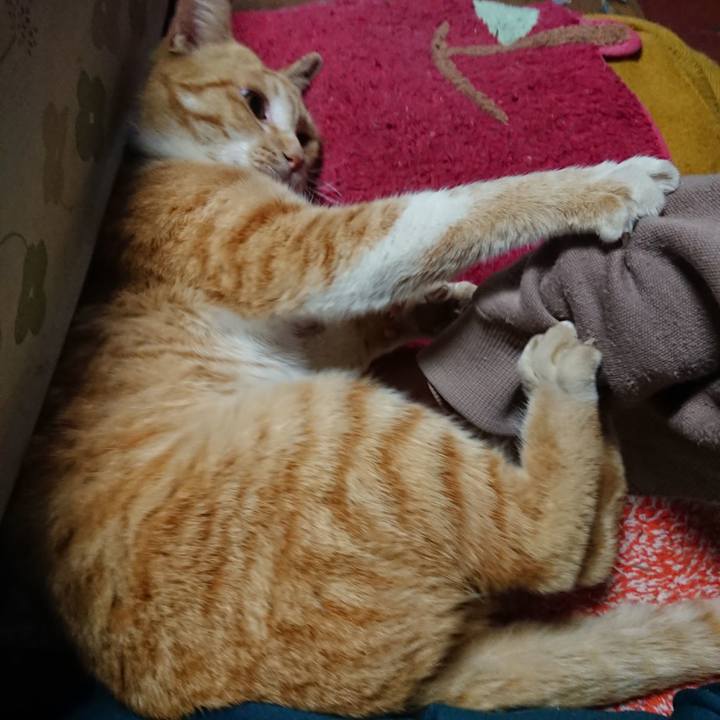 83c0af70 3c29 45dc abd2 59367a700e08 1556572345739