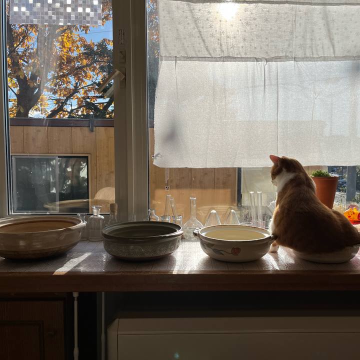 83c0da4d fa2c 47cb a442 2484520cb595 1699661784121