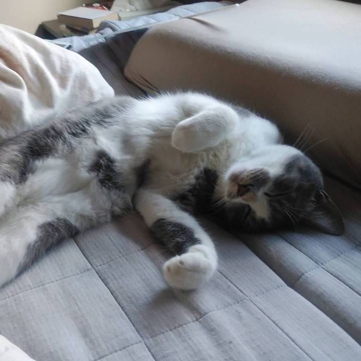 83c0e023 5f9a 43a3 86b9 fb8719fbcc44 1598766055638