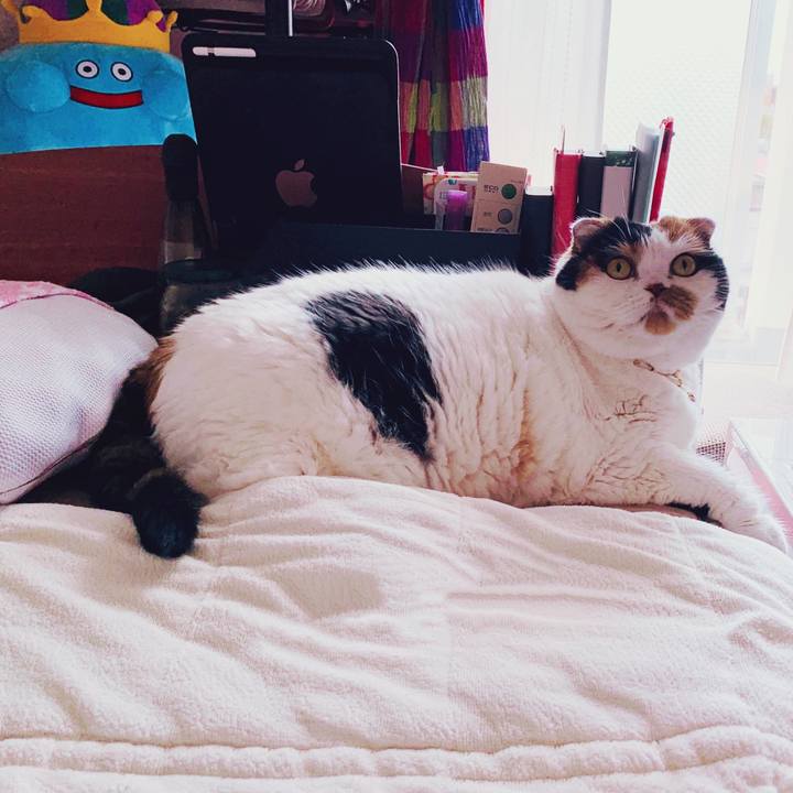 83c0e7a0 8e39 4a56 ad74 081e1bc6da55 1572145695610