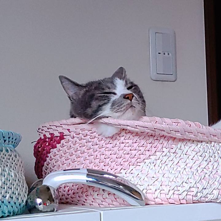 83c0ed5b d139 428f b556 2cd8f24ff577 1719825998440