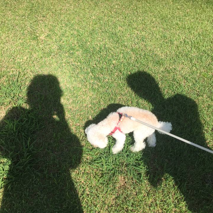 83c0f84a c1ed 4268 a19f 44f4471801a6 1537846575474