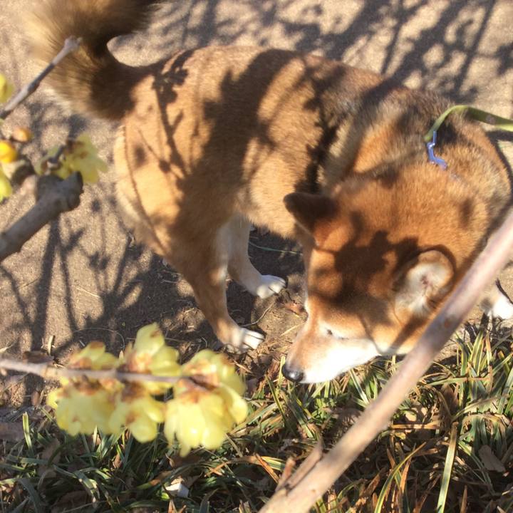 83c1029a c1bd 47ad b0a7 3e7d7feecd09 1612665971324