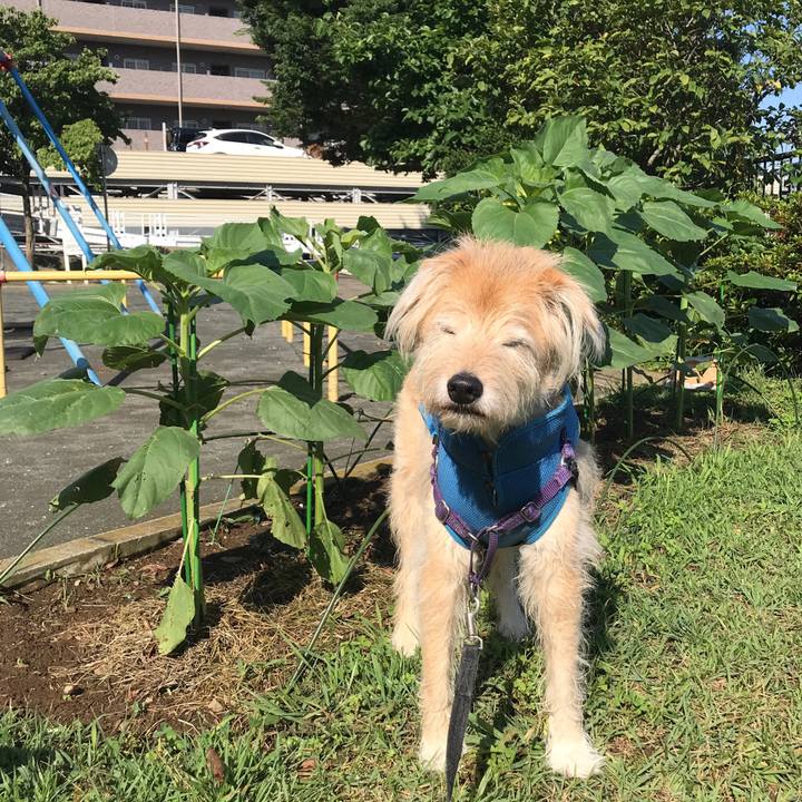 83c12a9c 8950 4a29 b996 6b575cd46bb2 1592608530489