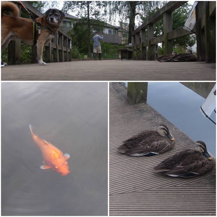 83c134c9 79d0 45ab af40 1ff96a5fd7ba 1590626609513