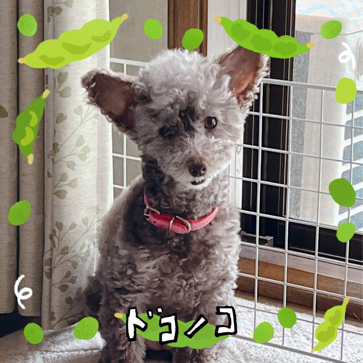 83c15ff2 2377 40df 8f3a c943d2296ba7 1720753623468