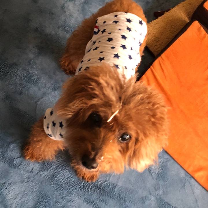 83c1a3ae 8cfc 471c 8e92 911b061f0bd6 1602385294269