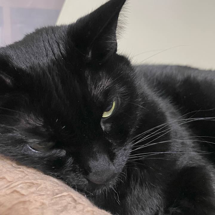 83c1c64e 40bb 46c5 90dd f8a07f589afe 1674879127002