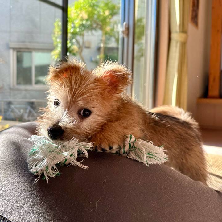 83c1d15a 9738 4b3a b217 30a820eb3e21 1701548449118