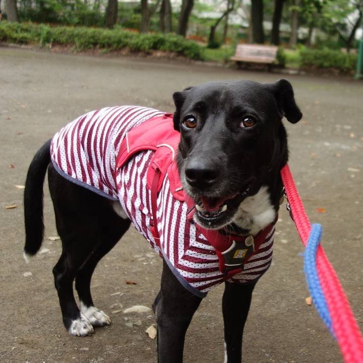 83c247f6 ac30 4161 bf3c 445718caafc0 1593213696516