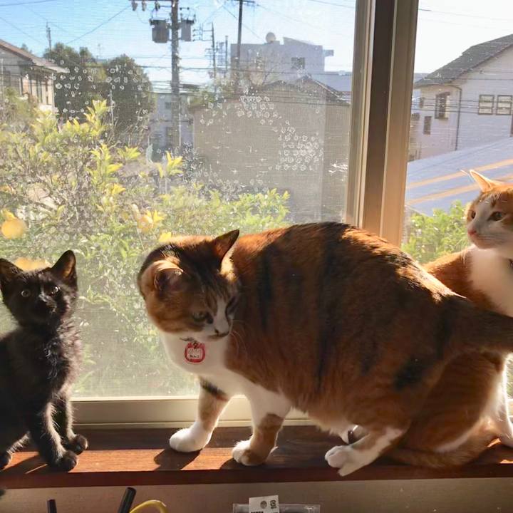 83c25a5c b79d 49f2 910c 4f7905705c41 1512521650974