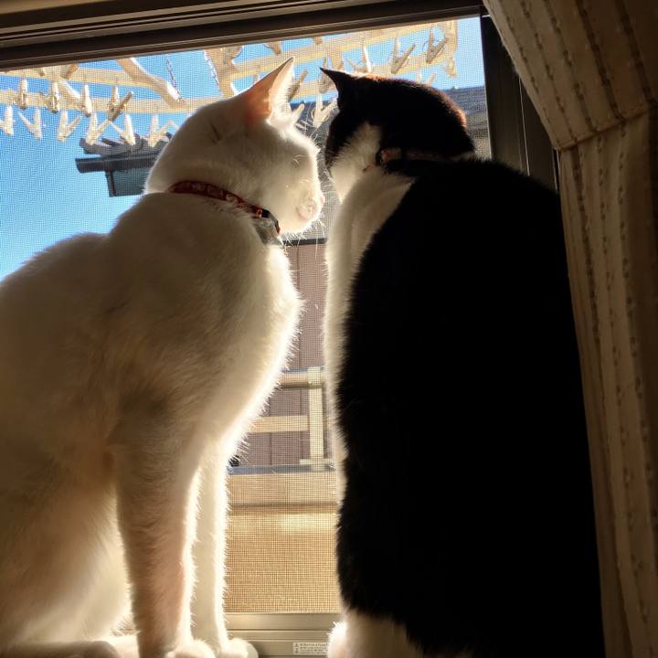 83c27a28 99e4 4a9b 8270 bea9c862fa75 1515974804959