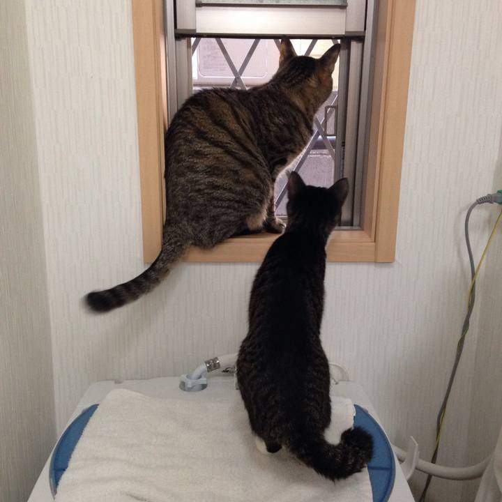 83c27bc8 aac8 4e4a b449 dcf49b41504f 1512277455745