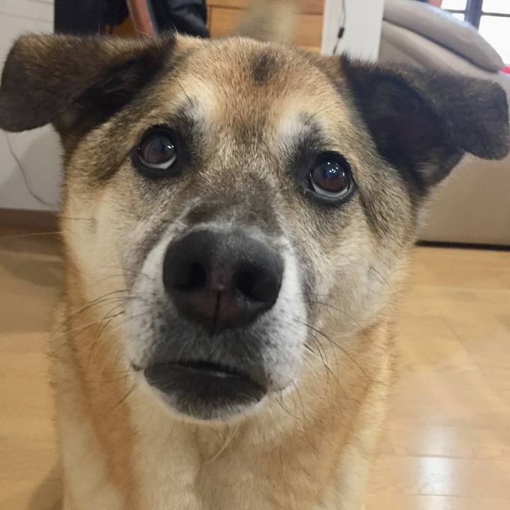 83c280df 9732 40d4 bc81 997c7b15ef5d 1528688814251