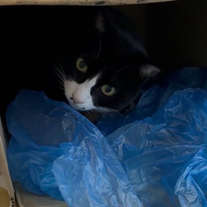 83c2a377 5fef 44d6 a2d2 d93ee61c3295 1770986636397