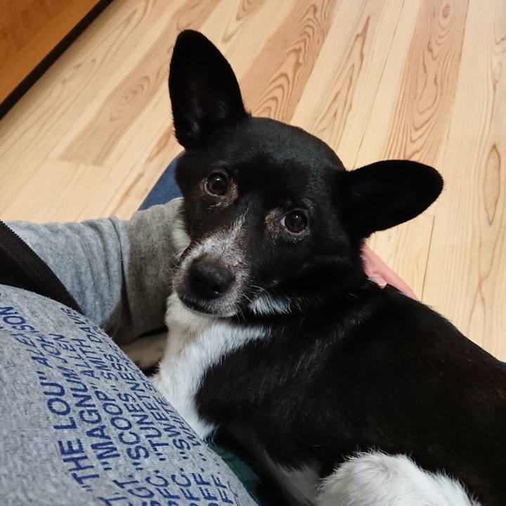 83c2f416 86e7 4f84 bc46 ef76b29c34a8 1581172657055