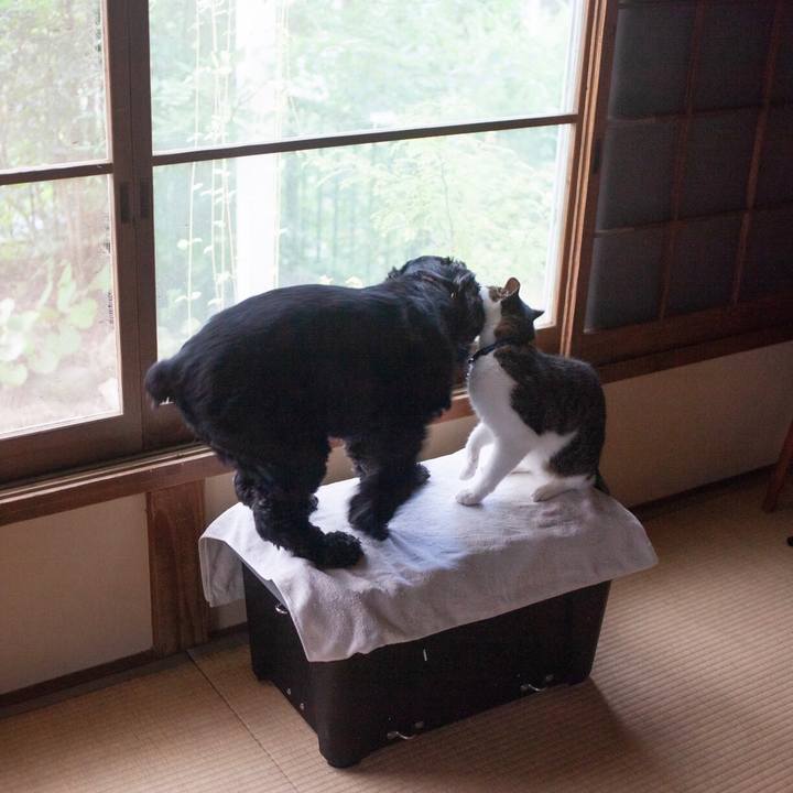 83c3142a a2bd 4dbb 956a 71abda9648f3 1598263683154