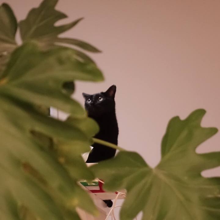 83c31f5c d3ce 4931 b4b4 c6fd4655d24e 1549851555378