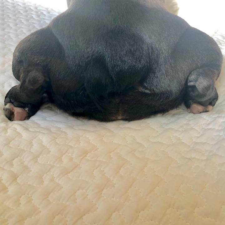 83c32871 b2b4 4947 adf6 da8557fe7314 1526081006282