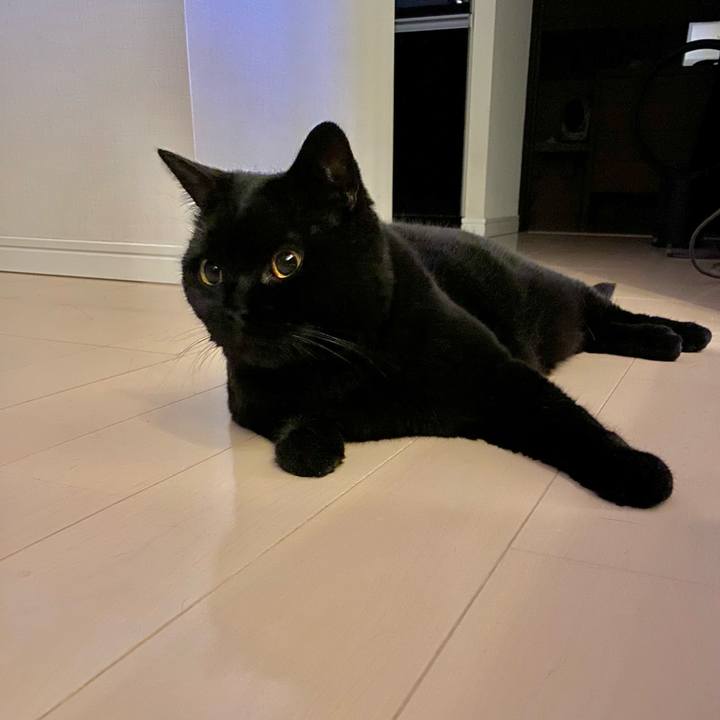 83c35be7 6d19 4429 8ca0 467cabcbca3a 1690980119418