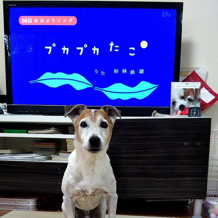 83c383cb da0d 487d bfd2 cdea11bf5001 1564438364267