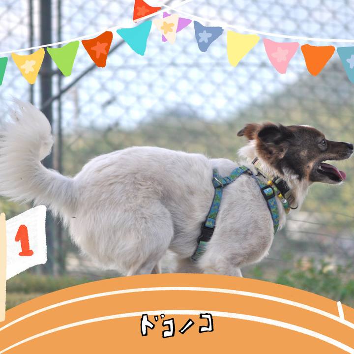 83c3965d c421 43b6 91a4 b7bcb5afb7c6 1761314046996