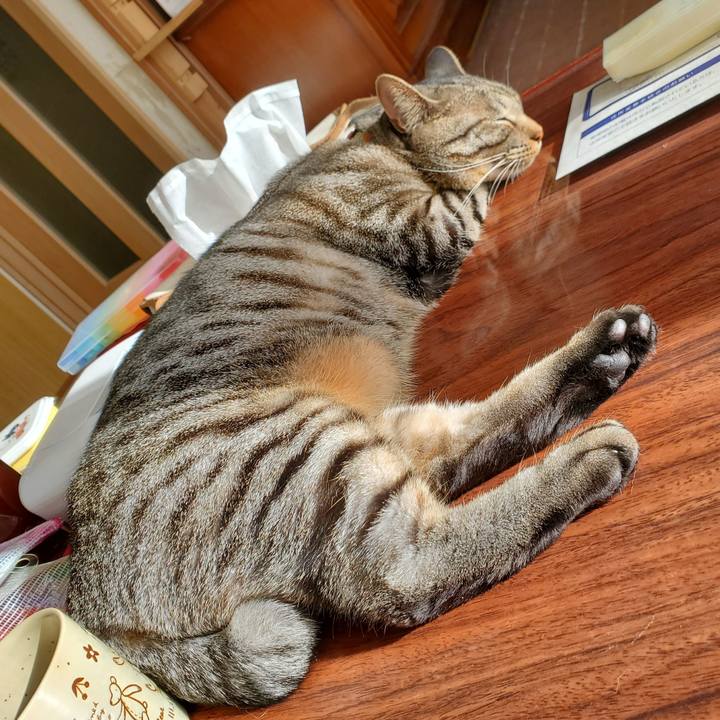 83c3afd9 66c6 4a88 81b2 c318ee27483f 1701324005176