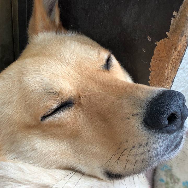 83c48408 578e 42bf a9ae bfe2ea6c7785 1527742185432