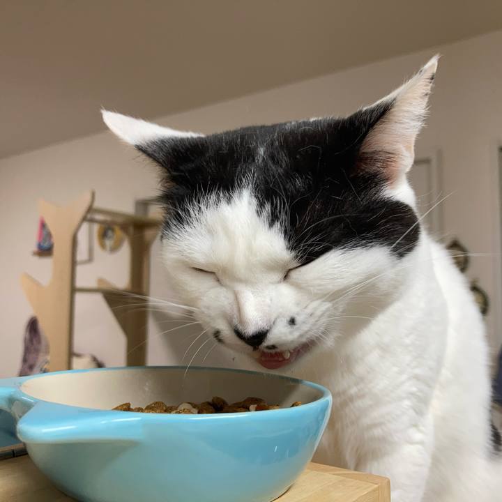 83c48f3b 38e0 4e1a 9010 0029c262fc57 1772915885070