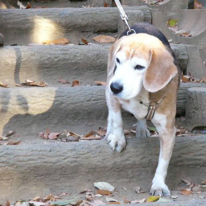 83c4af72 632b 4d53 8db4 9728fc4a0eda 1649031955981