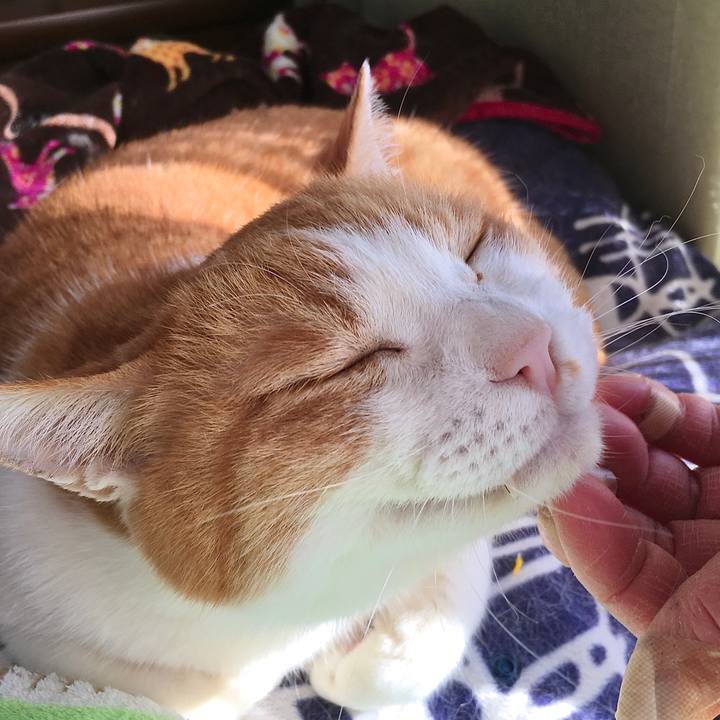 83c4d637 037c 41c7 b8be f90357edaf88 1614663716849