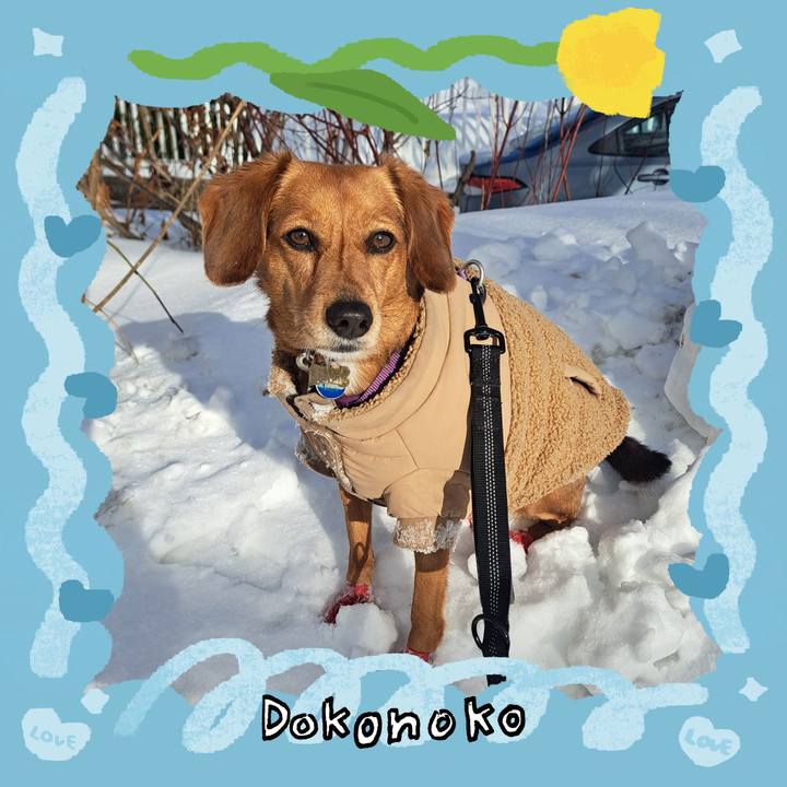 83c503bc b809 4f60 80b0 0cdacd353514 1772118144407