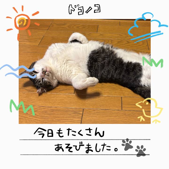 83c505c5 b0b6 416d a741 5ea042cfba05 1755342748174